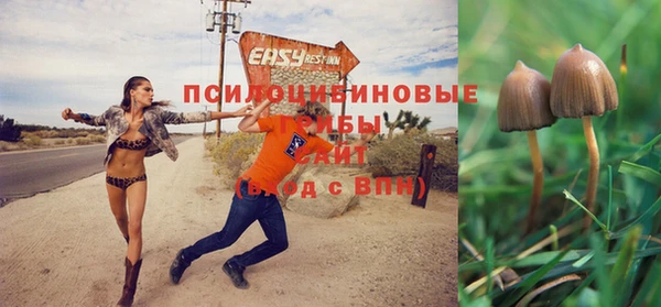 гашик Балабаново